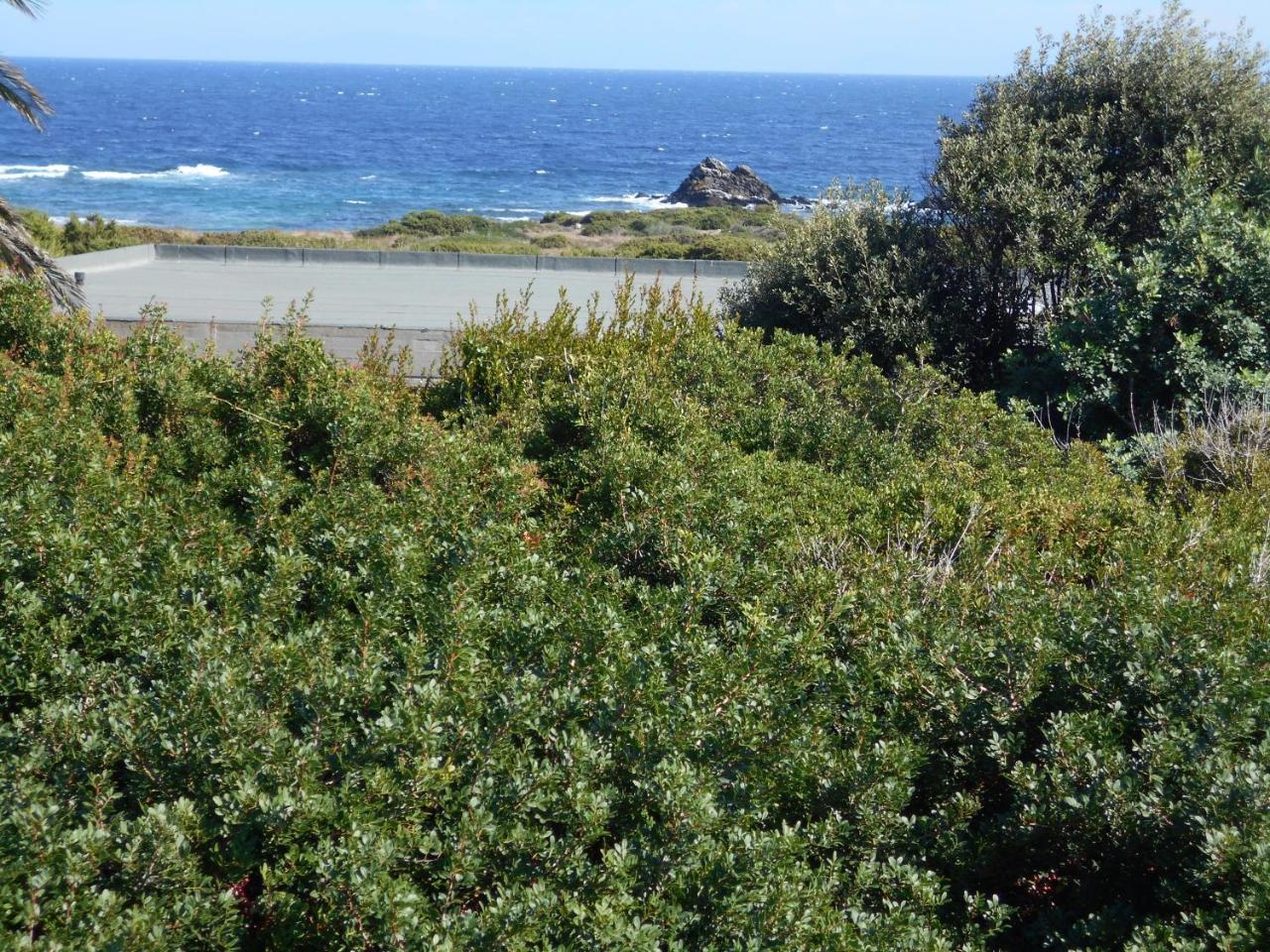 Le Case Punta Negra Stintino Exterior photo