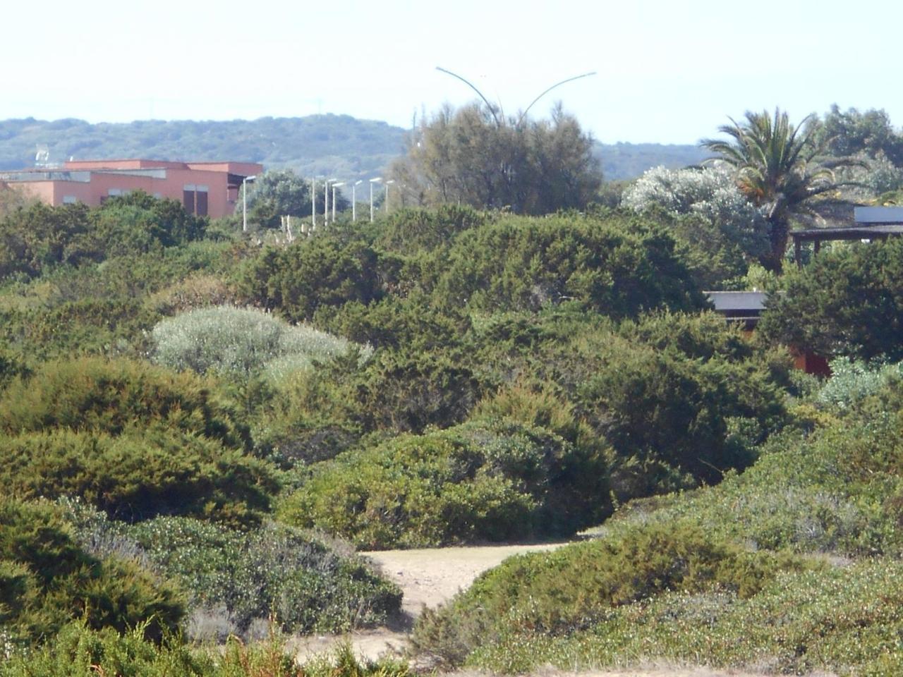 Le Case Punta Negra Stintino Exterior photo